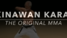 Origen de las técnicas de la MMA: Karate